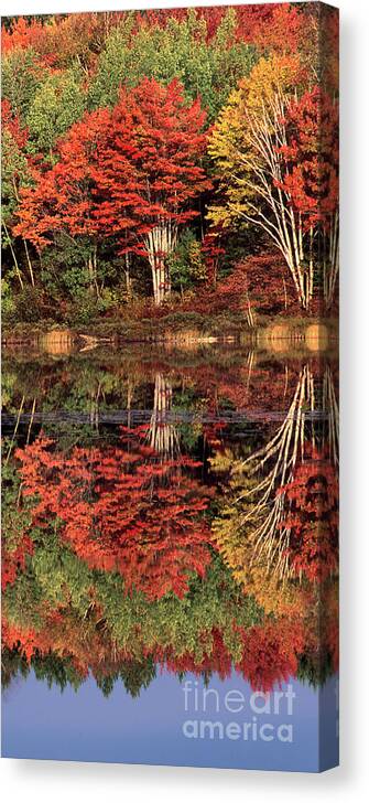 Dave Welling Canvas Print featuring the photograph Panoramic Fall Color Thorton Lake Upper Penninsula Michigan by Dave Welling