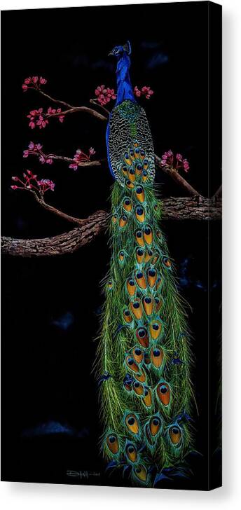 Birds Canvas Print featuring the painting Royal Peacock by Dana Newman
