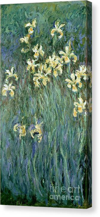 The Canvas Print featuring the painting The Yellow Irises by Claude Monet