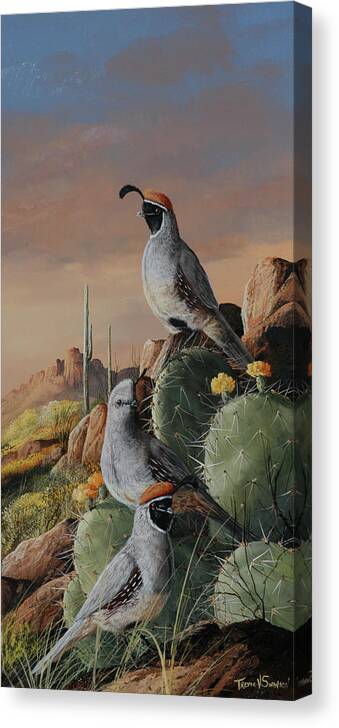Wildlife Canvas Print featuring the painting Gambel Trio by Trevor V. Swanson