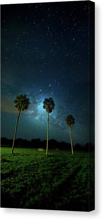 Milky Way Canvas Print featuring the photograph Galaxy Palms by Mark Andrew Thomas