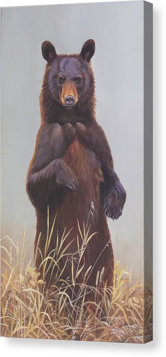 Black Bear Canvas Print featuring the painting Taking A Stand by Tammy Taylor