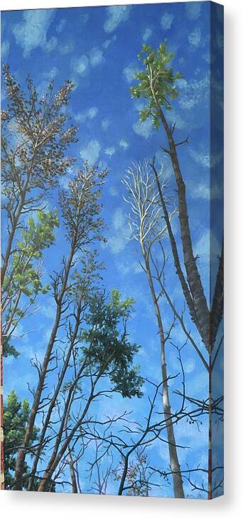 Trees Canvas Print featuring the painting The Heights by Don Morgan