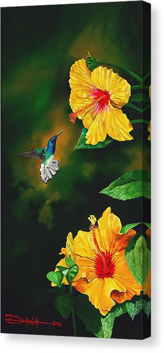 Birds Canvas Print featuring the painting White Necked Jacobin and Yellow Hibiscus by Dana Newman