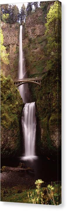 Photography Canvas Print featuring the photograph Waterfall In A Forest, Multnomah Falls #1 by Panoramic Images