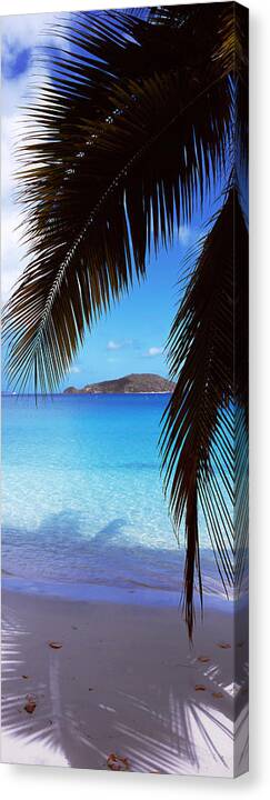Photography Canvas Print featuring the photograph Palm Tree On The Beach, Maho Bay by Panoramic Images