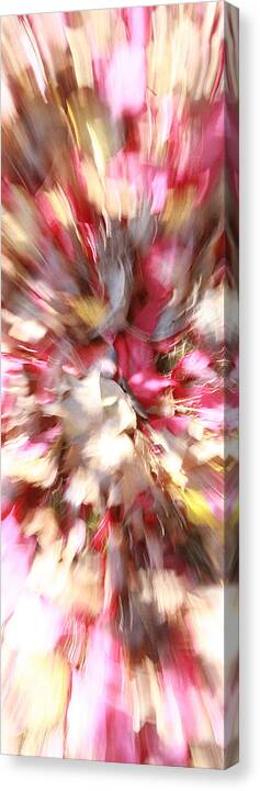 Floral Canvas Print featuring the photograph Floral explosion No1 by David Coblitz