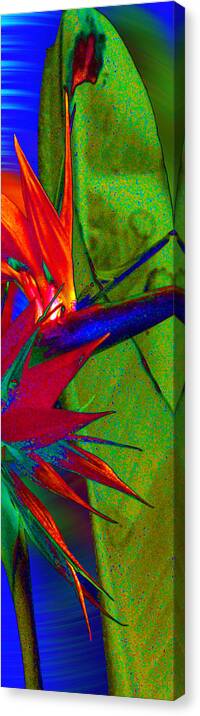 Abstract Bird Canvas Print featuring the photograph Abstract Bird by Ron Regalado