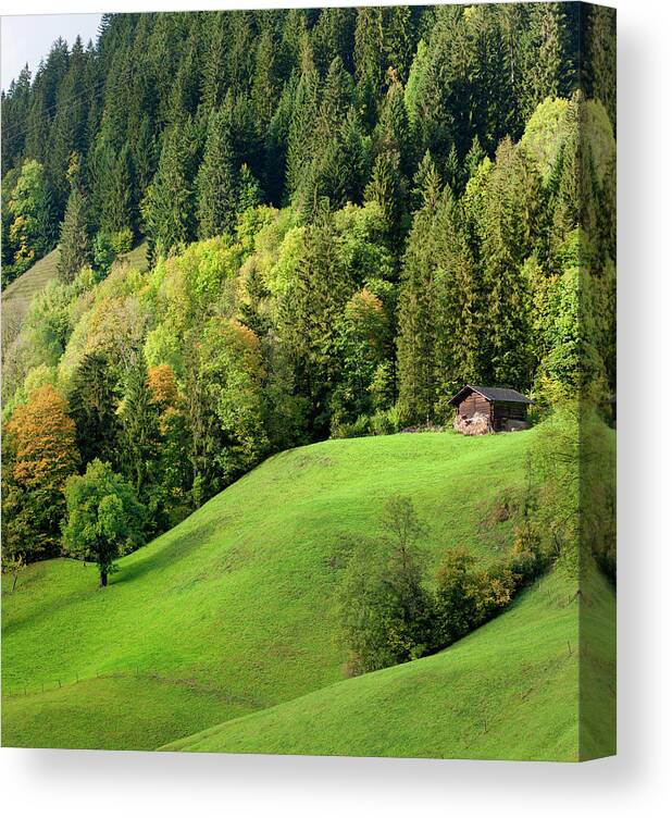 Scenics Canvas Print featuring the photograph Autumn Landscape In Bernese Oberland #1 by Pidjoe