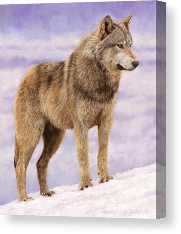 Wolf Canvas Print featuring the painting Grey Wolf #3 by David Stribbling