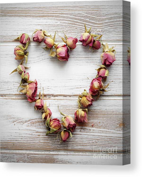 Anniversary Canvas Print featuring the photograph Heart from dry rose buds #1 by Kati Finell