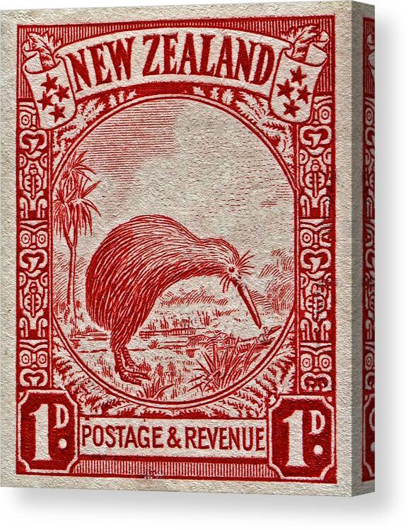 1936 Canvas Print featuring the photograph 1936 New Zealand Kiwi Stamp by Bill Owen