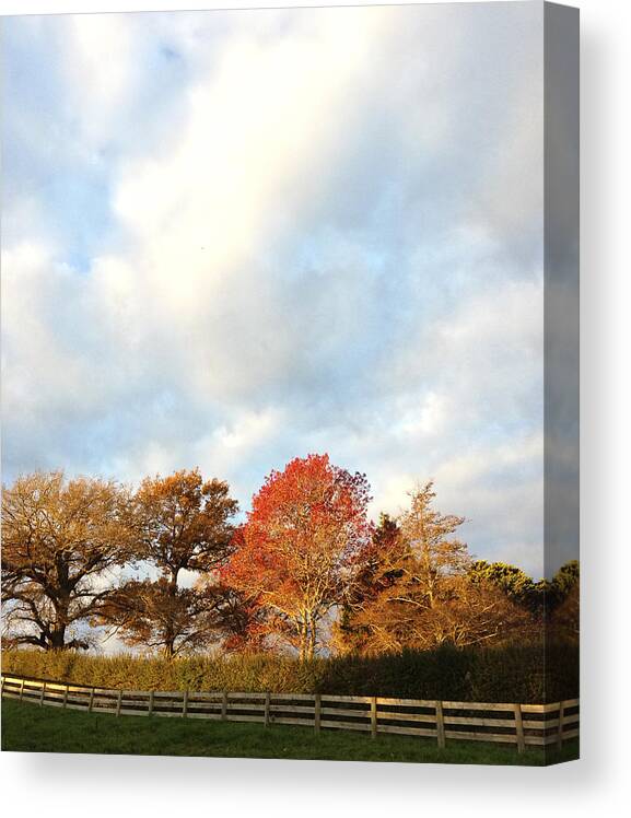 Autumn Canvas Print featuring the photograph Autumn #5 by Les Cunliffe