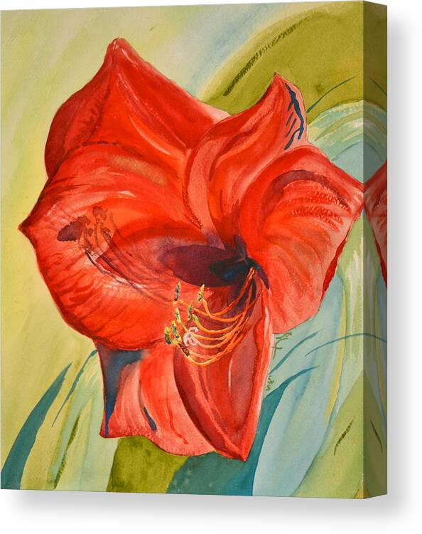 Amaryllis Untimely Canvas Print featuring the painting Amaryllis Untimely by Beverley Harper Tinsley