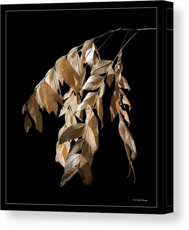 Fall Canvas Print featuring the photograph Before the Fall by Lucy VanSwearingen