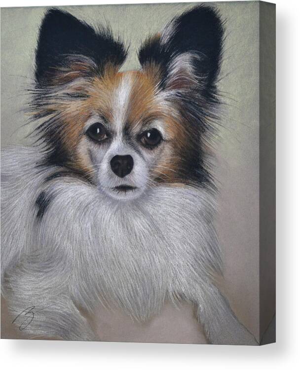 Papillon Canvas Print featuring the pastel Bobbie - Pastel by Ben Kotyuk