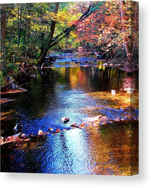 Creek Canvas Print featuring the photograph Caledonia In Autumn by Angela Davies