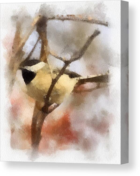 Chickadee Watercolor Canvas Print featuring the painting Chickadee Watercolor by Kerri Farley