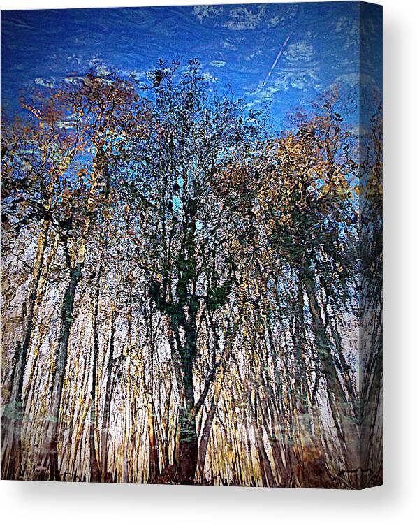 Trees Canvas Print featuring the photograph Cypress Abstract 1 by Sheri McLeroy