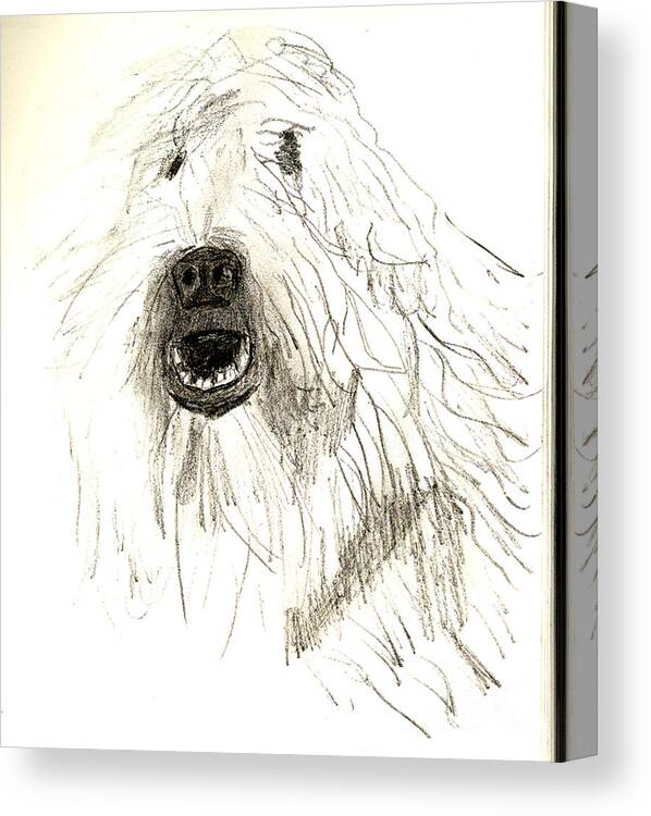 Dog Canvas Print featuring the drawing Dog by Sandy McIntire