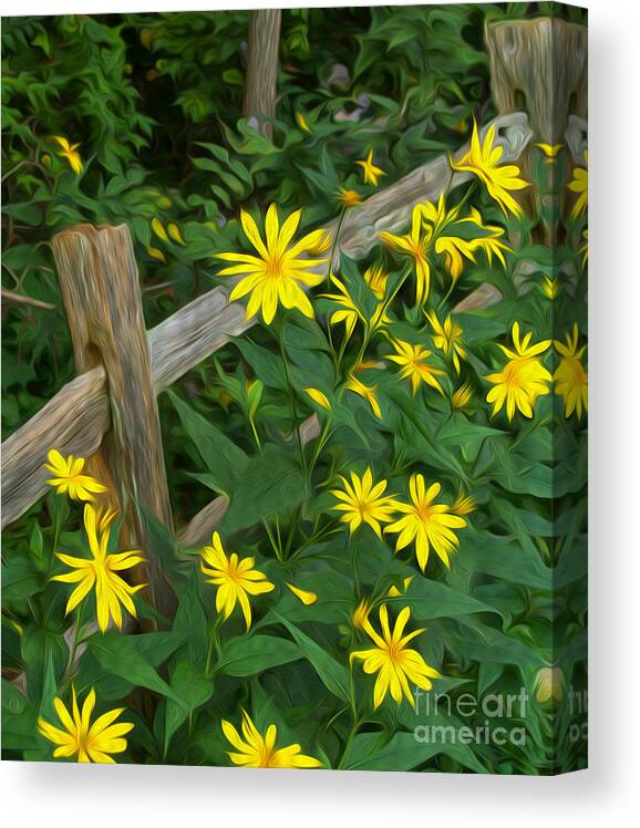 Split Rail Fence Canvas Print featuring the photograph Fence and Flowers by Brian Mollenkopf