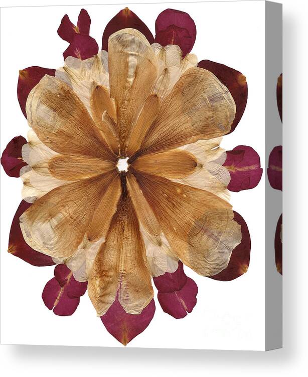 Flower Canvas Print featuring the photograph Flower Mandala 1 by Michelle Bien