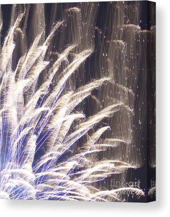 Fourth Of July Fireworks Canvas Print featuring the photograph Fourth of July Fireworks by Robert E Alter Reflections of Infinity
