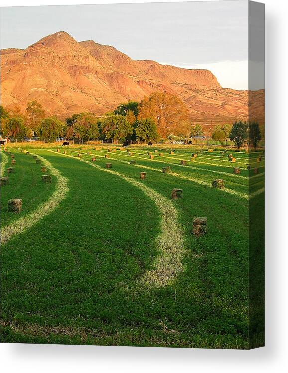 Socorro Canvas Print featuring the photograph Hay Bales - Socorro - NM by Steven Ralser