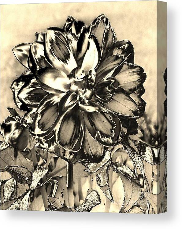 Flower Canvas Print featuring the digital art Heavy Metal by Dani McEvoy