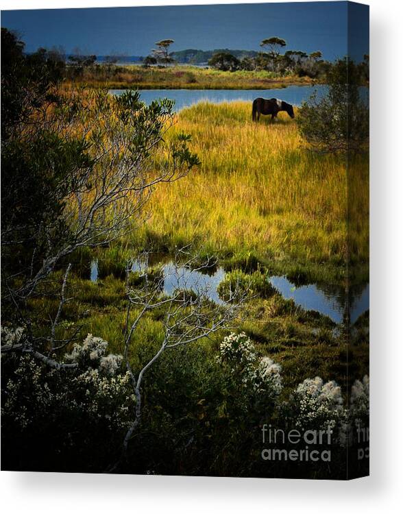 Landscapes Canvas Print featuring the photograph Home On The Range by Robert McCubbin