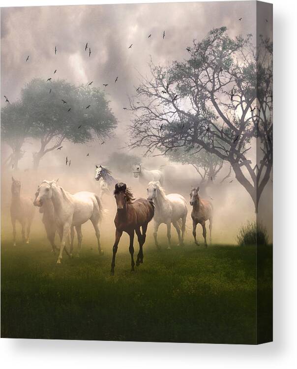 Horses Canvas Print featuring the digital art Horses in the Mist by Nina Bradica