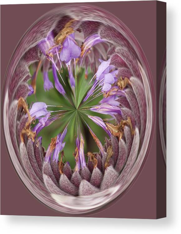 Circle Distortion Canvas Print featuring the photograph Lavender Flower Distortion by Roni Chastain