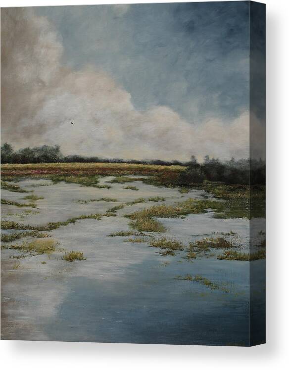Water Canvas Print featuring the painting Low Country by Katrina Nixon