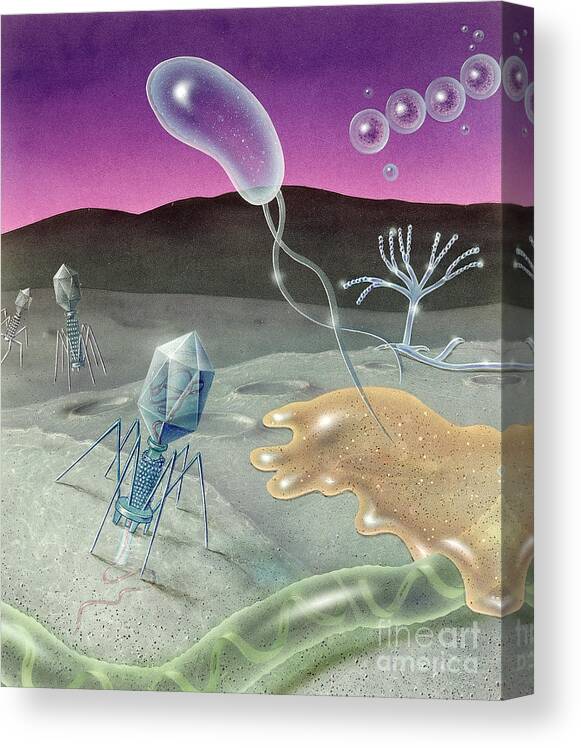 Illustration Canvas Print featuring the photograph Microbial Invasion by Carlyn Iverson