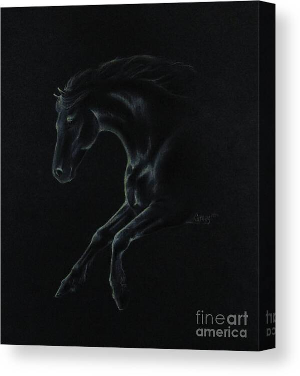 Horse Canvas Print featuring the drawing Midnight Run by Catherine Howley