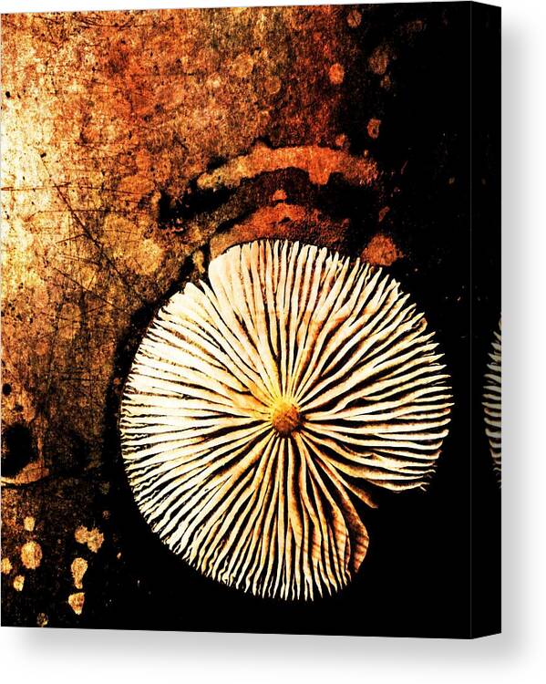 Texture Canvas Print featuring the digital art Nature Abstract 14 by Maria Huntley