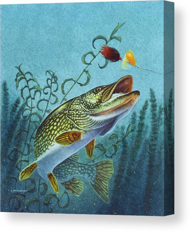 Jon Q Wright Canvas Print featuring the painting Northern Pike Spinner Bait by JQ Licensing