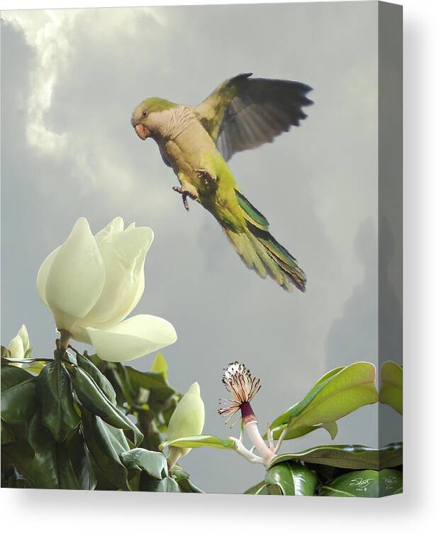 Blossom Canvas Print featuring the digital art Parrot and Magnolia Tree by M Spadecaller