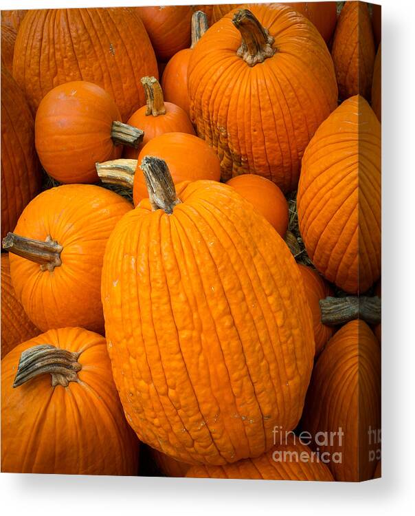 Halloween Canvas Print featuring the photograph Pumpkins by Inge Johnsson