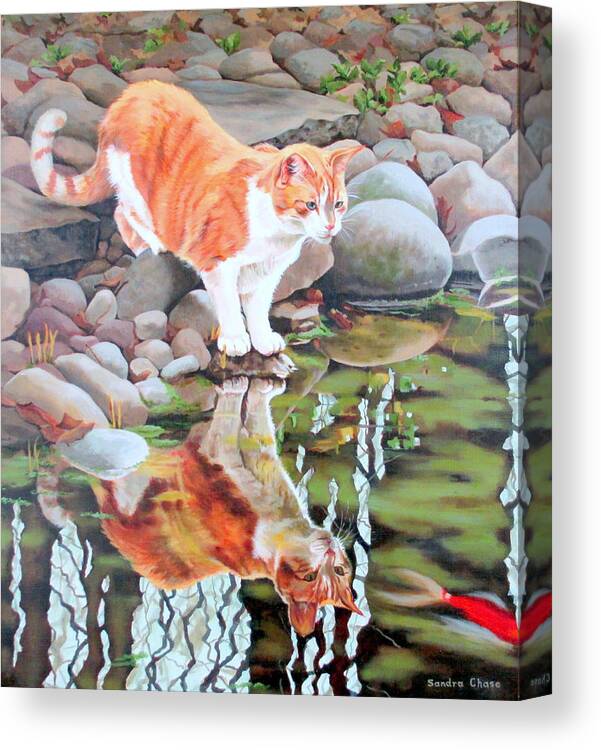 Cat Canvas Print featuring the painting Reflecting by Sandra Chase