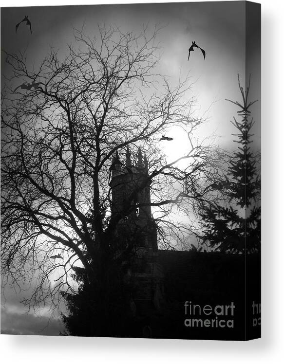 Architecture Canvas Print featuring the photograph Release the bats by Heather King