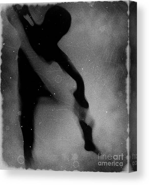 Black Canvas Print featuring the photograph Silhouette of an Oddity by Jessica S