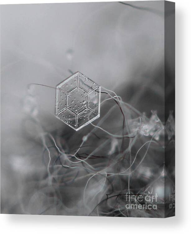 Macro Canvas Print featuring the photograph Snowflake Symmetry by Stacey Zimmerman