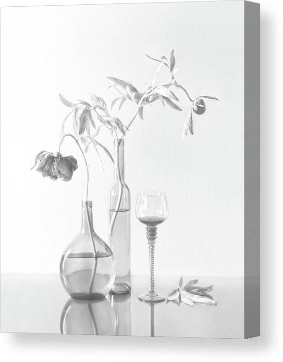 Still Life Canvas Print featuring the photograph Still Life With Peonies by Dimitar Lazarov -