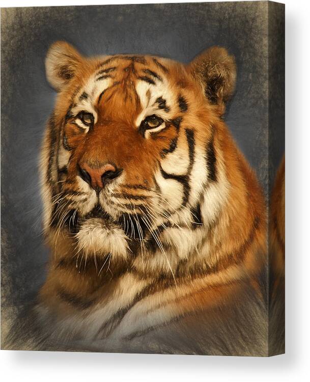 Tiger Canvas Print featuring the digital art Tiger by Ian Merton