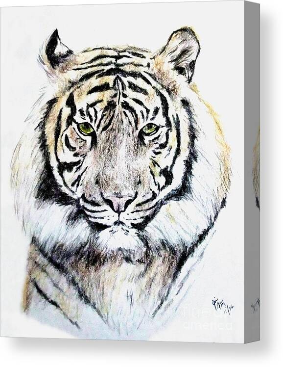 Tiger Canvas Print featuring the drawing Tiger Portrait by Jim Fitzpatrick