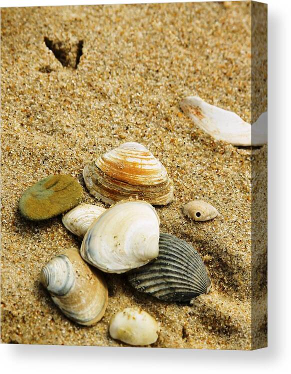 Love-n-life Studios Canvas Print featuring the photograph Tiny Footprint by Theresa Johnson