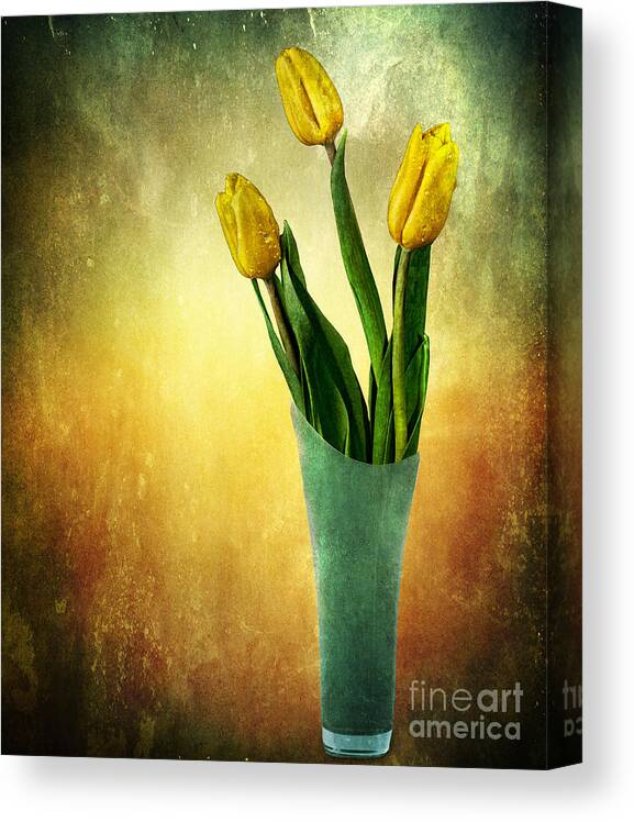 Flowers Canvas Print featuring the photograph Tulip Bouquet by Shirley Mangini