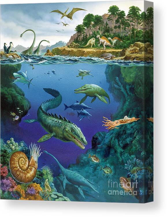 Illustration Canvas Print featuring the photograph Underwater Landscape Of Cretaceous by Publiphoto