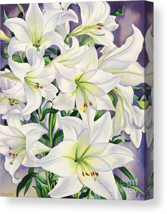Lily Canvas Print featuring the painting White Lilies by Christopher Ryland